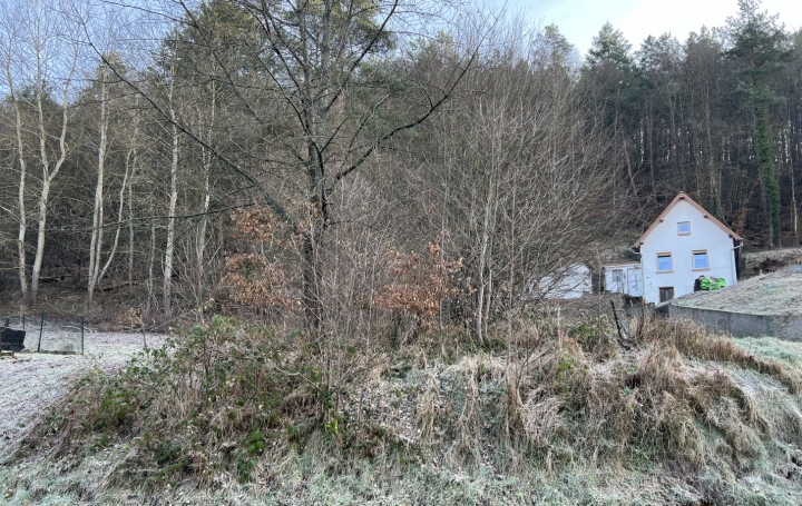 Maison HANVILLER (57230)  82 m2 19 000 € 