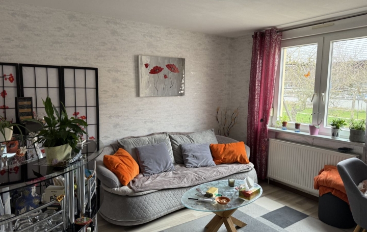 Immeuble REMERING-LES-PUTTELANGE (57510)  438 m2 468 000 € 