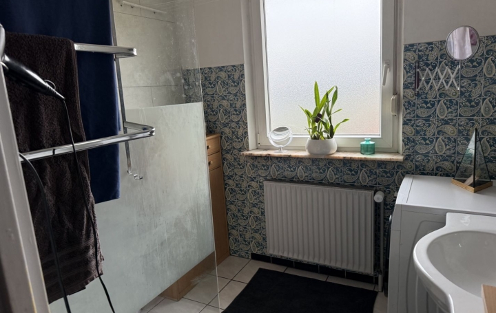 Immeuble REMERING-LES-PUTTELANGE (57510)  438 m2 468 000 € 