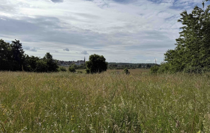 Terrain HOLVING (57510)   99 000 € 