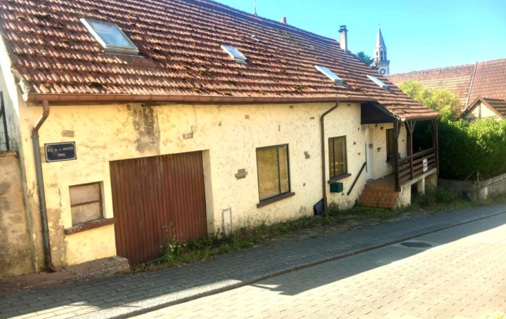 Maison HERBITZHEIM (67260)  186 m2 65 000 € 