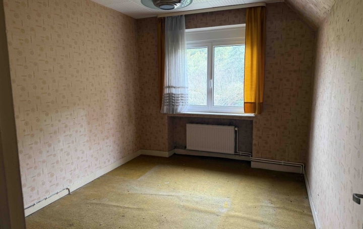 Maison FAULQUEMONT (57380)  74 m2 65 000 € 