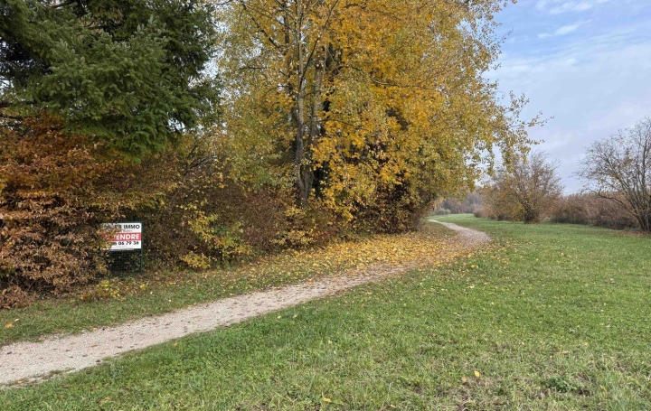 Maison REMERING-LES-PUTTELANGE (57510)  27 m2 65 000 € 