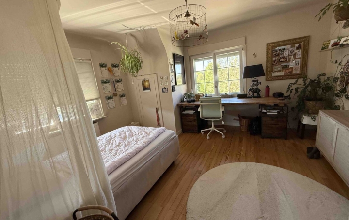Propriété HOLVING (57510)  249 m2 580 000 € 