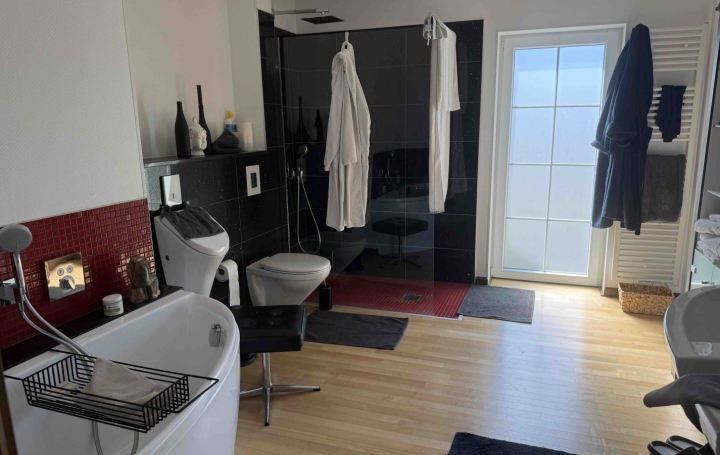 Propriété HOLVING (57510)  249 m2 580 000 € 
