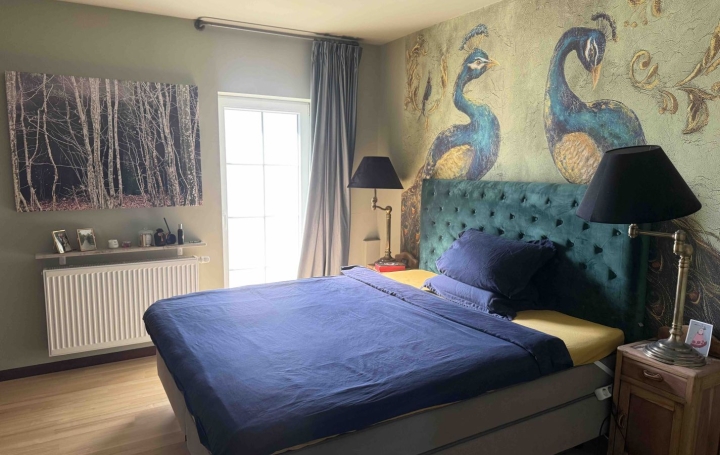 Propriété HOLVING (57510)  249 m2 580 000 € 