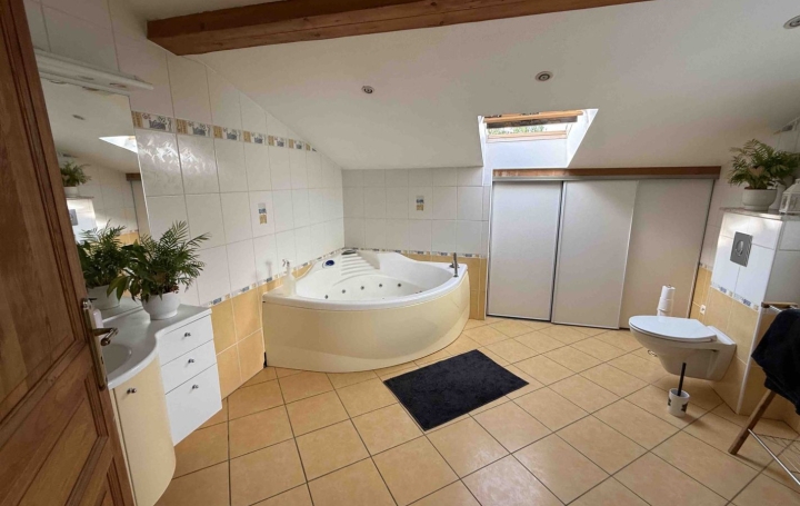 Maison VIRMING (57340)  220 m2 280 000 € 