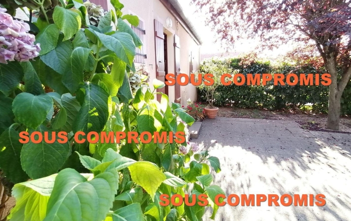 Réseau Immo-diffusion : Maison  PIERRE-DE-BRESSE  138 m2 86 800 € 