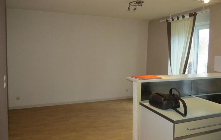 Réseau Immo-diffusion : Appartement P2  CHALON-SUR-SAONE  51 m2 60 500 € 