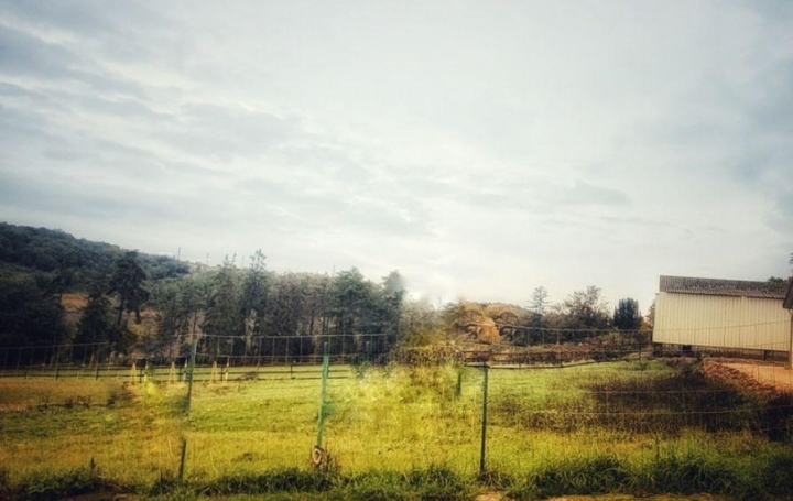 Réseau Immo-diffusion : Terrain  BOUZERON   77 000 € 