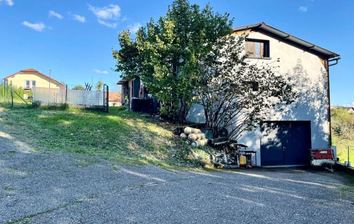 Maison / Villa ELOISE (01200) 263 m<sup>2</sup> 545 000 € 