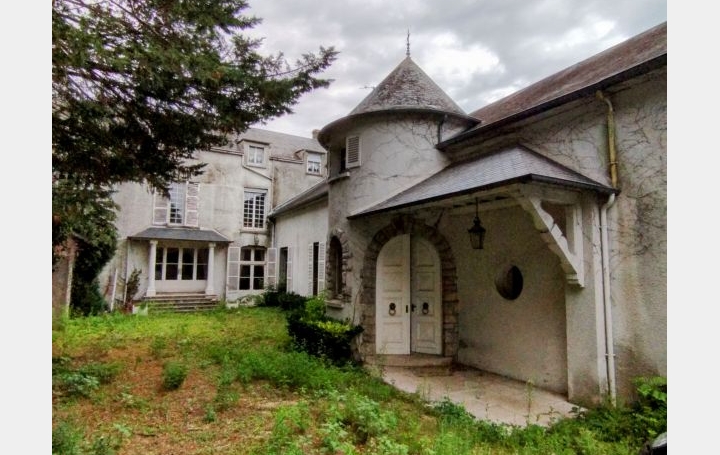 Réseau Immo-diffusion : Maison  PITHIVIERS  480 m2 525 000 € 