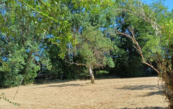 Maison MONTREVEL (39320)  90 m2 109 000 € 