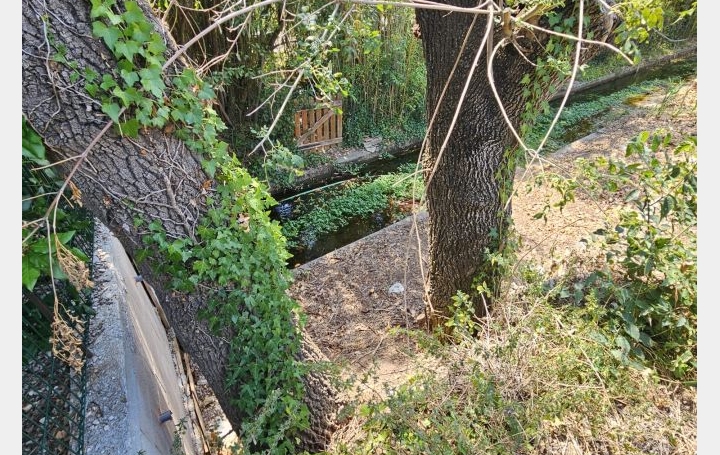 Terrain SAINT-BAUZILLE-DE-LA-SYLVE (34230)   129 000 € 