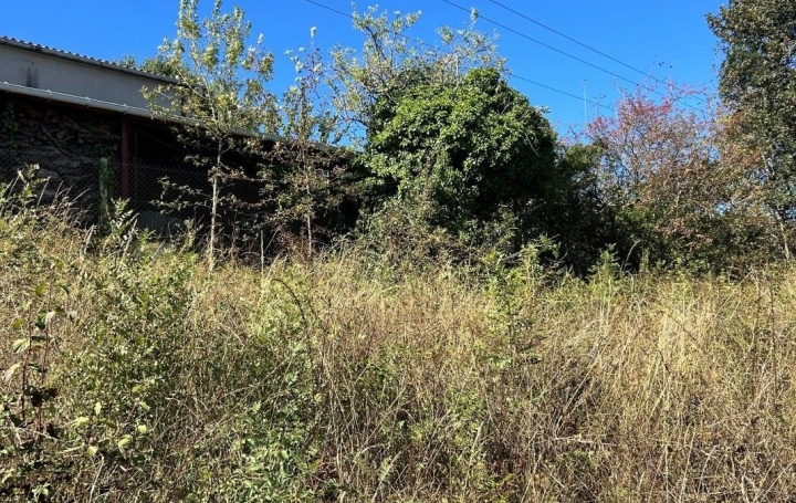 Terrain NAVES (81710)   61 500 € 