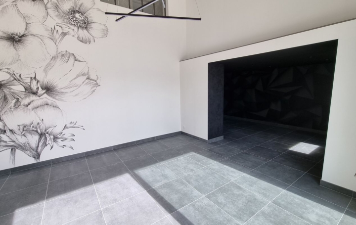 Maison CHALON-SUR-SAONE (71100)  231 m2 444 000 € 