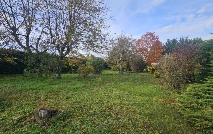 Maison SAULES (71390)  117 m2 199 700 € 