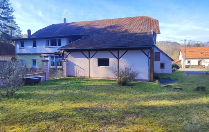Maison PHILIPPSBOURG (57230)  250 m2 340 000 € 