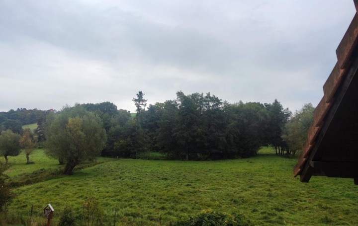 Maison ROLBING (57720)  150 m2 162 000 € 