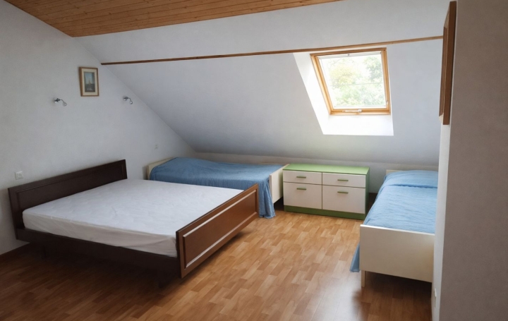 Maison ROLBING (57720)  240 m2 138 000 € 