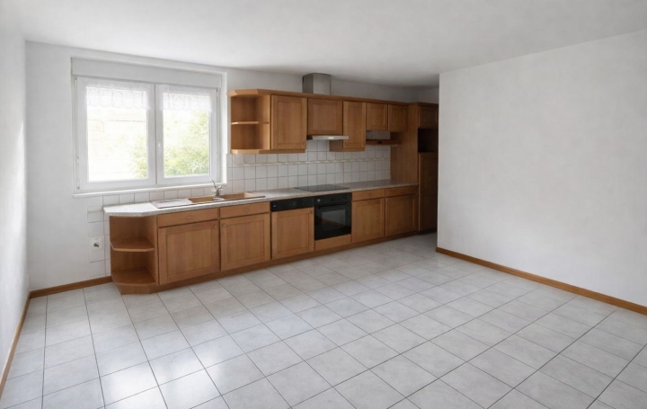 Maison ROLBING (57720)  240 m2 138 000 € 