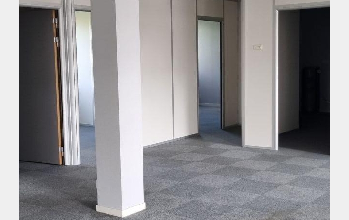 Local commercial CHARTRES-DE-BRETAGNE (35131)  193 m2 315 000 € 