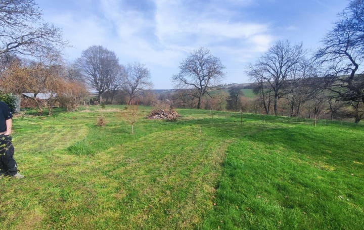 Maison ROLBING (57720)  180 m2 294 000 € 