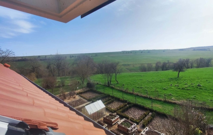 Maison ROLBING (57720)  180 m2 294 000 € 
