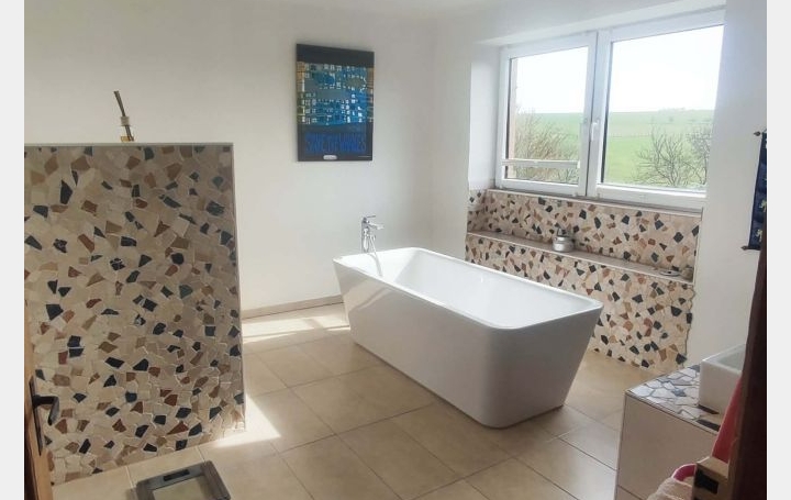 Maison ROLBING (57720)  180 m2 294 000 € 