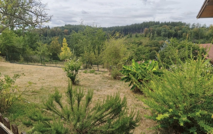 Maison LAMBACH (57410)  130 m2 127 000 € 