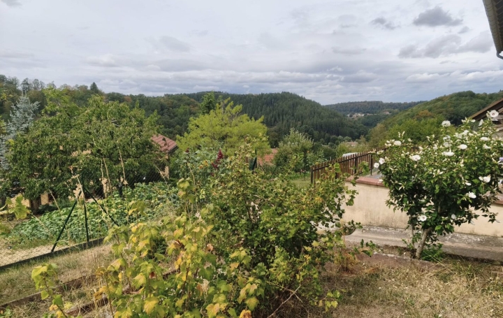 Maison LAMBACH (57410)  130 m2 127 000 € 