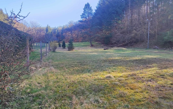 Maison PHILIPPSBOURG (57230)  249 m2 340 000 € 