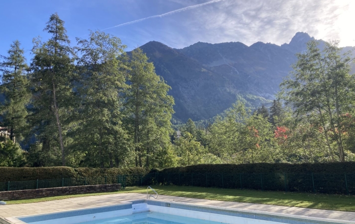 Studio CHAMONIX-MONT-BLANC (74400)  13 m2 159 000 € 