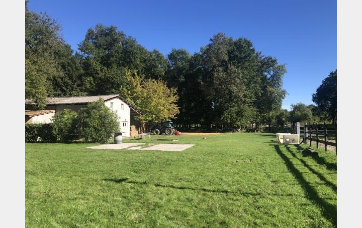 Réseau Immo-diffusion : Maison  PRIGNAC-EN-MEDOC  380 m2 336 000 € 