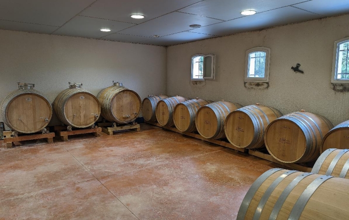 Réseau Immo-diffusion : Maison  PAUILLAC  220 m2 795 000 € 