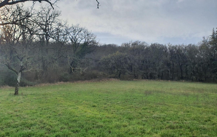 Réseau Immo-diffusion : Terrain  DEGAGNAC   27 000 € 