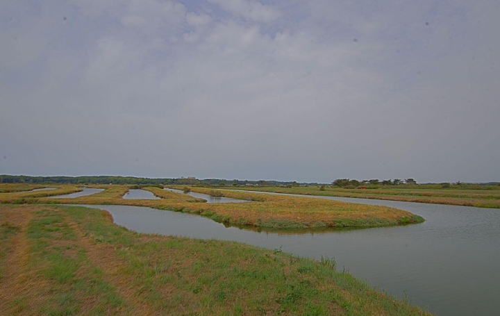 Terrain OLONNE-SUR-MER (85340) 0 m<sup>2</sup> 49 900 € 