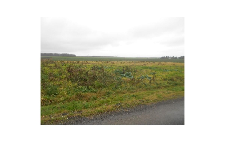 Réseau Immo-diffusion : Terrain  FERRIERES-EN-GATINAIS   25 000 € 