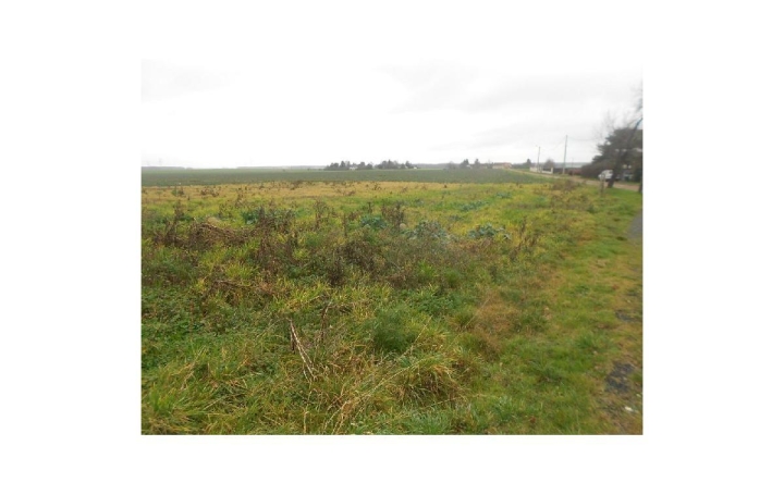 Réseau Immo-diffusion : Terrain  LA SELLE-SUR-LE-BIED   25 000 € 