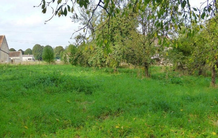 Réseau Immo-diffusion : Terrain  EGREVILLE   40 000 € 