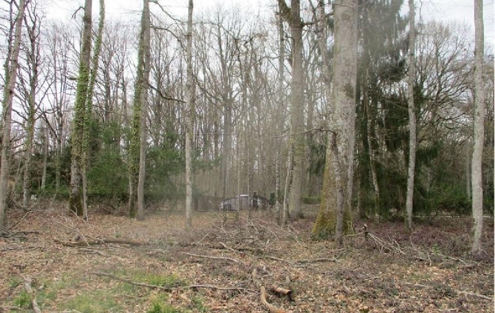 Réseau Immo-diffusion : Terrain  LA SELLE-EN-HERMOY   32 000 € 