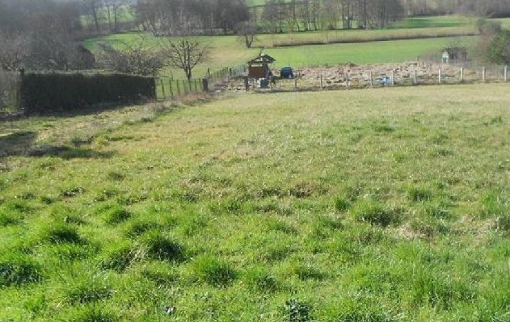 Réseau Immo-diffusion : Terrain  COURTEMAUX   22 000 € 