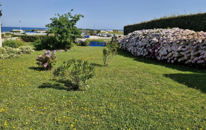 Réseau Immo-diffusion : Terrain  BRETTEVILLE   124 500 € 