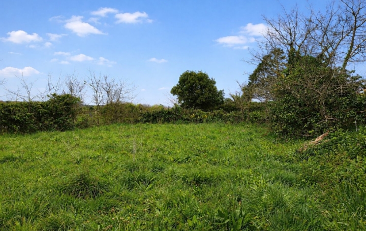 Terrain VICQ-SUR-MER (50330) 0 m<sup>2</sup> 54 500 € 