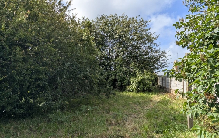 Maison VICQ-SUR-MER (50330)  62 m2 137 385 € 