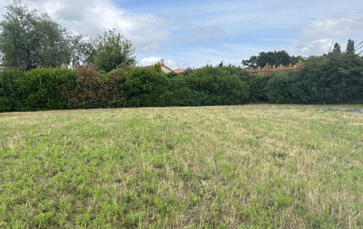 Réseau Immo-diffusion : Terrain  LE LOROUX-BOTTEREAU   156 000 € 