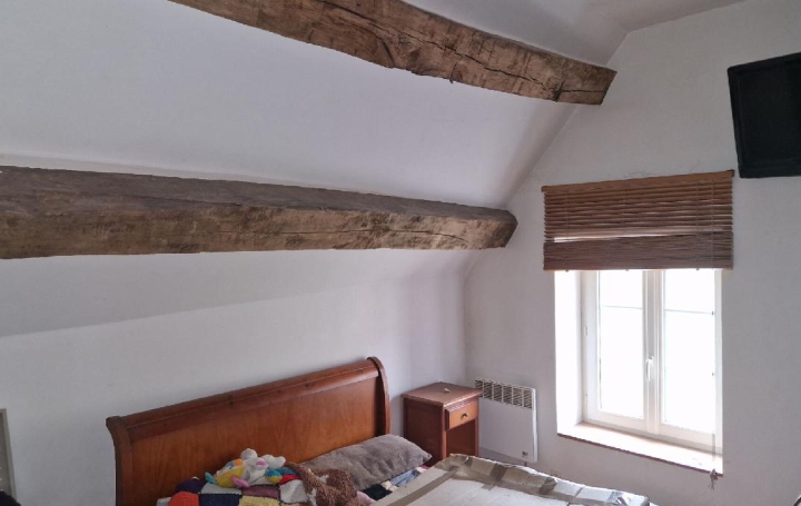 Maison SAINT-VICTOR-DE-BUTHON (28240)  146 m2 55 000 € 