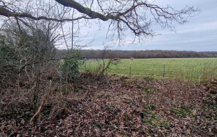 Maison LE FAVRIL (28190)  74 m2 128 400 € 