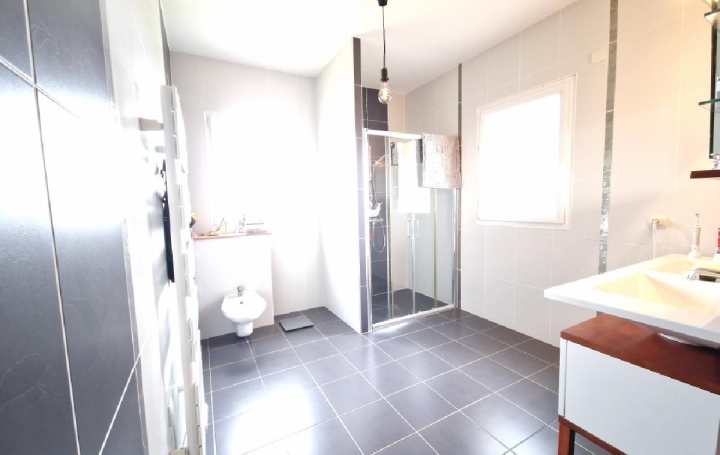 Maison MANOU (28240)  325 m2 550 000 € 