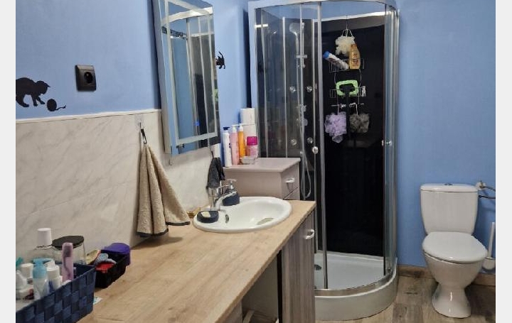 Maison SAINT-VICTOR-DE-BUTHON (28240)  183 m2 133 750 € 